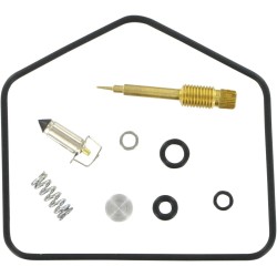 Carburetor Repair Kit