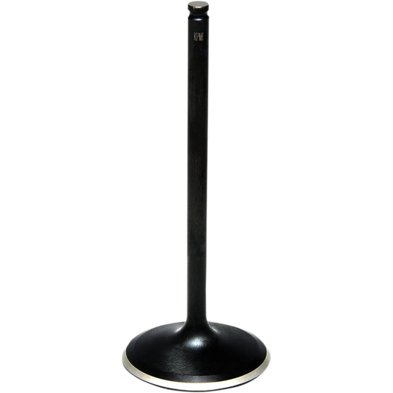 Black Diamond  Engine Valve