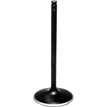 Black Diamond  Engine Valve