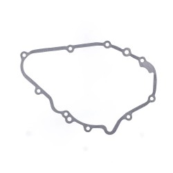 Ignition Gasket