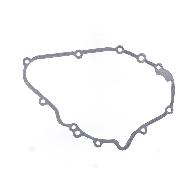 Ignition Gasket