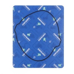 Clutch Cover Gasket