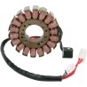 Stator pour Triumph