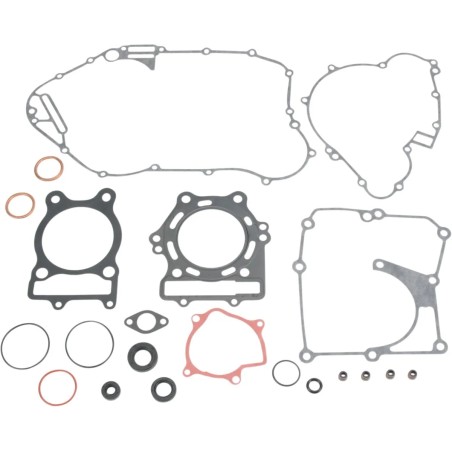 Complete Gasket and Oil Seal Kit