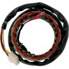 Stator pour Honda
