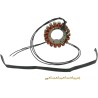Stator
