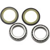 Steering Stem Tapered Roller Bearings and Seals Kit