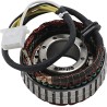 Stator