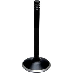 Black Diamond  Engine Valve