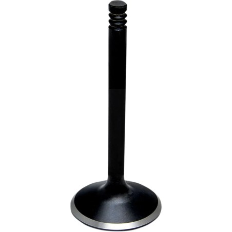 Black Diamond  Engine Valve
