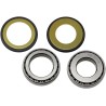 Steering Stem Tapered Roller Bearings and Seals Kit