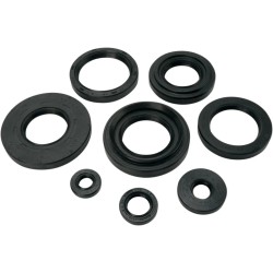 Motor Oil Seals
