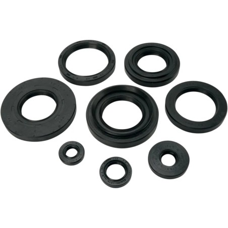 Motor Oil Seals