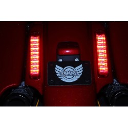 Panneaux de feu arrière à LED ProBEAM® pour CVO™