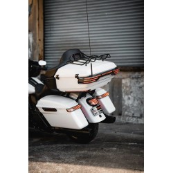 ProBEAM  Sequential LED Tour Pak Light