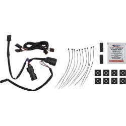 Saddlebag Latch Dual Color Accent Lights