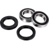 Axle Bearing Kit