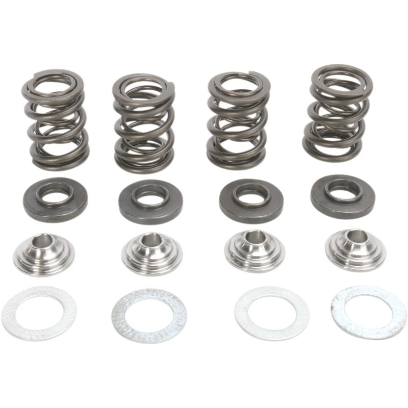 Valve Spring Kit