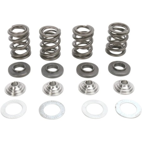 Valve Spring Kit