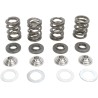 Valve Spring Kit