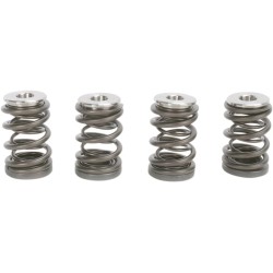 Valve Spring Kit