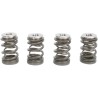 Valve Spring Kit