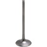 Tensilite  Titanium Engine Valve