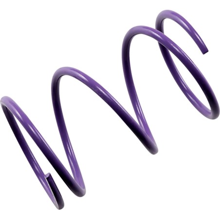 Ressort d'embrayage secondaire