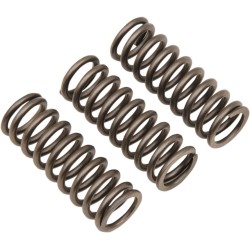 CSK Clutch Spring Set