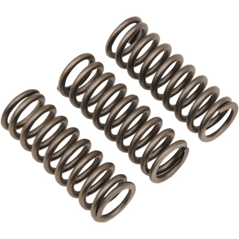 CSK Clutch Spring Set