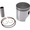 Piston Kit for 2 Stroke