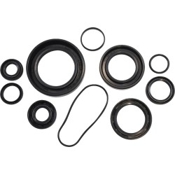 Oil Seal Kit