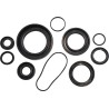 Oil Seal Kit