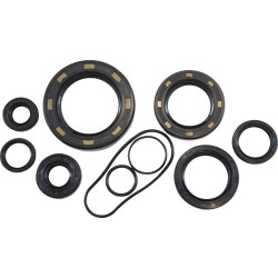 Oil Seal Kit