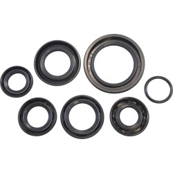 Oil Seal Kit