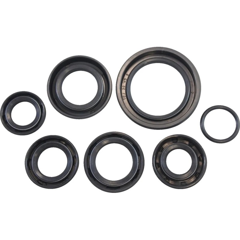 Oil Seal Kit