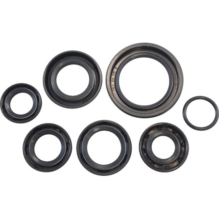 Oil Seal Kit