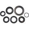 Oil Seal Kit