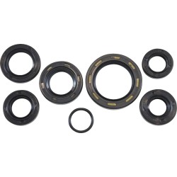 Oil Seal Kit
