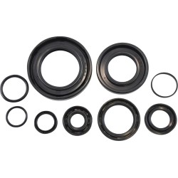 Oil Seal Kit