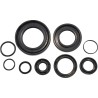 Oil Seal Kit