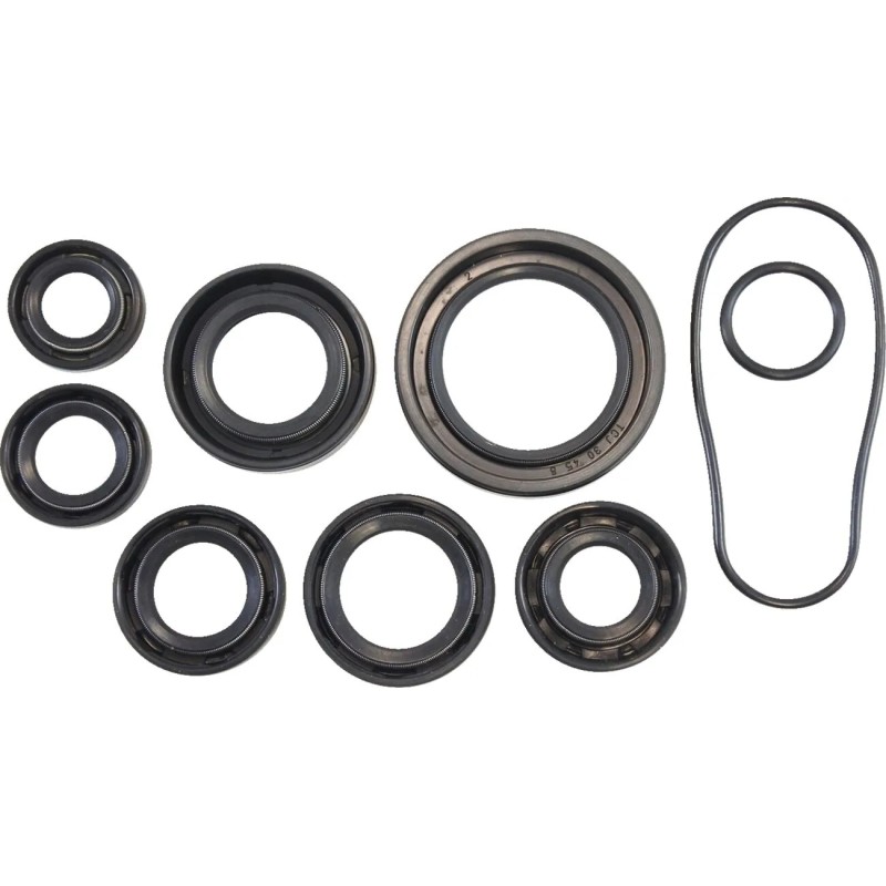 Oil Seal Kit