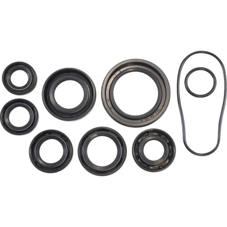 Oil Seal Kit