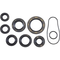 Oil Seal Kit