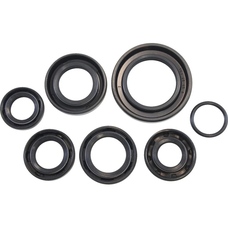 Oil Seal Kit