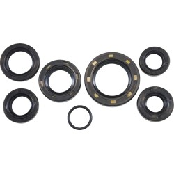 Oil Seal Kit
