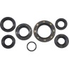 Oil Seal Kit