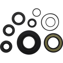 Oil Seal Kit