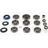 Transmission Rebuild Kit
