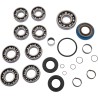 Transmission Rebuild Kit